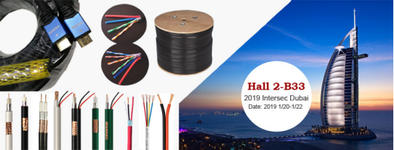 2019 Intersec Middle East(Dubai) 